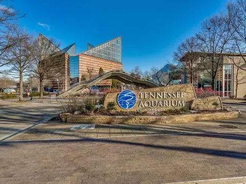 721 Broad St, Chattanooga, TN 37402 photo 10