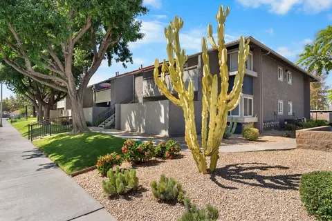 3900 Fir Tree Dr, Riverside, CA 92505 photo 5