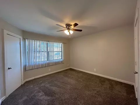 3629 N Macgregor Way, Houston, TX 77004 photo 22