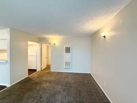 3629 N Macgregor Way, Houston, TX 77004 photo 2