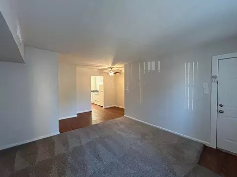 3629 N Macgregor Way, Houston, TX 77004 photo 17