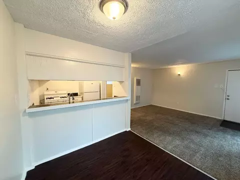 3629 N Macgregor Way, Houston, TX 77004 photo 5