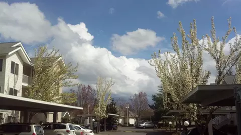808 Pool St, Eugene, OR 97401 photo 27