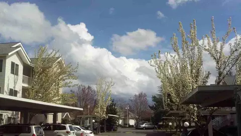 808 Pool St, Eugene, OR 97401 photo 14