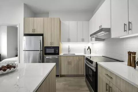 111 W Illinois St, Chicago, IL 60654 photo 3