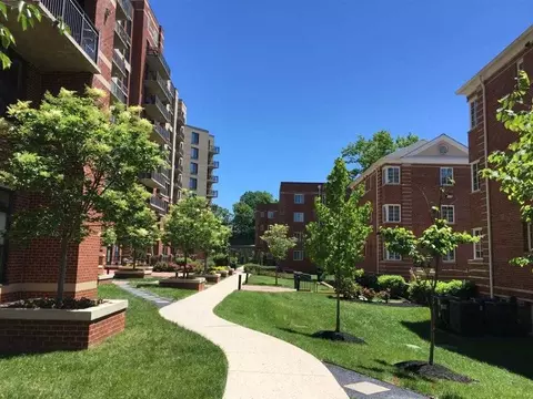 2306 11th St N, Arlington, VA 22201