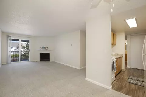 10710 Evergreen Way, Everett, WA 98204 photo 39