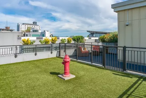 1527 15th Ave, Seattle, WA 98122 photo 19