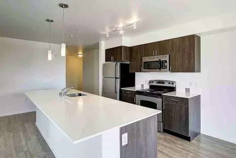 1527 15th Ave, Seattle, WA 98122 photo 35