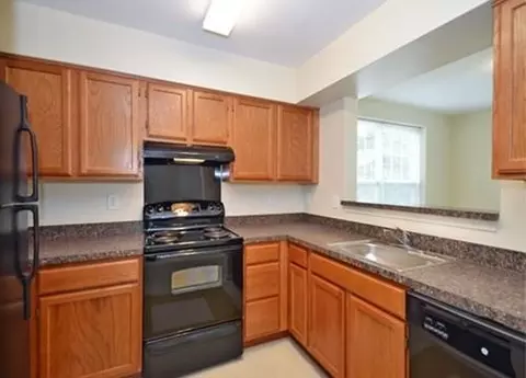 4520 Scarlet Oak Ln, Baltimore, MD 21229 photo 4