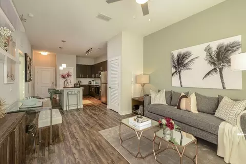 2615 N Grady Ave, Tampa, FL 33607 photo 14