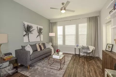 2615 N Grady Ave, Tampa, FL 33607 photo 15