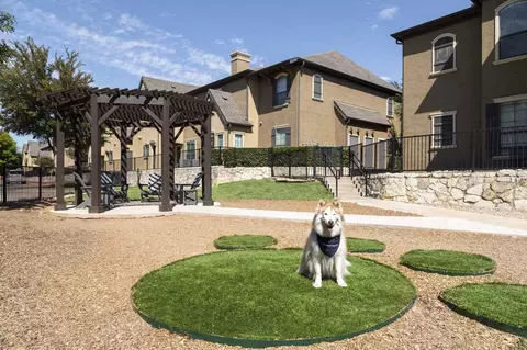 811 W Slaughter Ln, Austin, TX 78748 photo 33