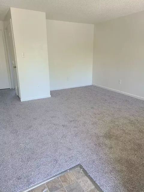 300 S Pratt Ave, Carson City, NV 89701