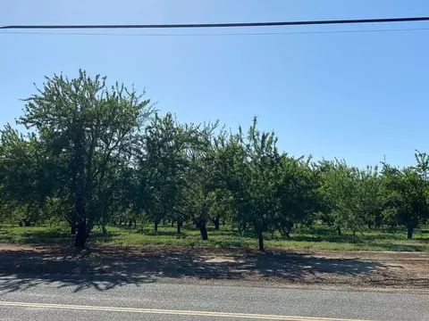 10162 Jones Ave, Durham, CA 95938 photo 13