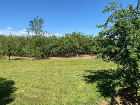 10162 Jones Ave, Durham, CA 95938 photo 12