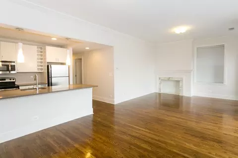 4850 S Drexel Blvd, Chicago, IL 60615 photo 8