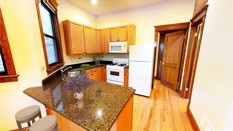 1139 W Webster Ave, Chicago, IL 60614