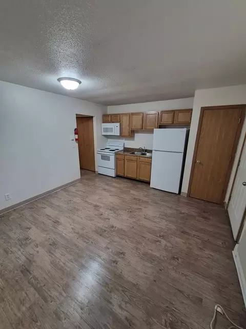 9766 Rosehill Rd, Berrien Springs, MI 49103