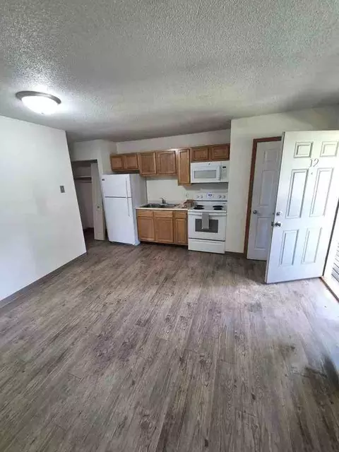 9766 Rosehill Rd, Berrien Springs, MI 49103