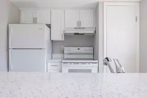 8024 Hidden River Dr, Tampa, FL 33617 photo 98
