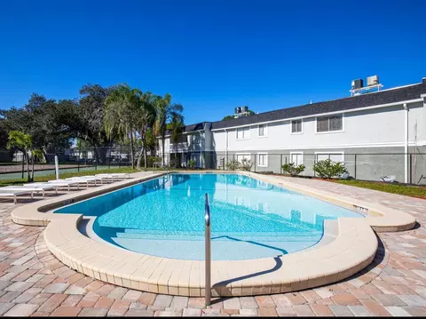 8024 Hidden River Dr, Tampa, FL 33617 photo 10