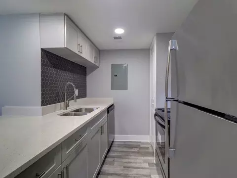 8024 Hidden River Dr, Tampa, FL 33617 photo 18