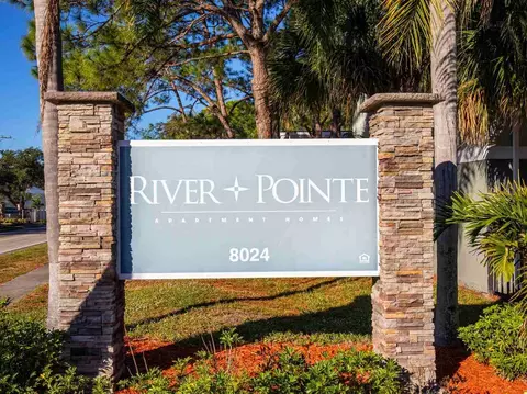8024 Hidden River Dr, Tampa, FL 33617 photo 57