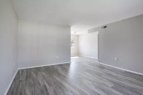 8024 Hidden River Dr, Tampa, FL 33617 photo 86
