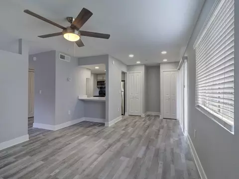 8024 Hidden River Dr, Tampa, FL 33617 photo 19