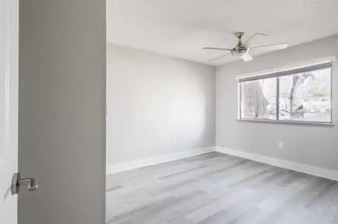 8024 Hidden River Dr, Tampa, FL 33617 photo 140