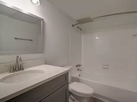 8024 Hidden River Dr, Tampa, FL 33617 photo 29