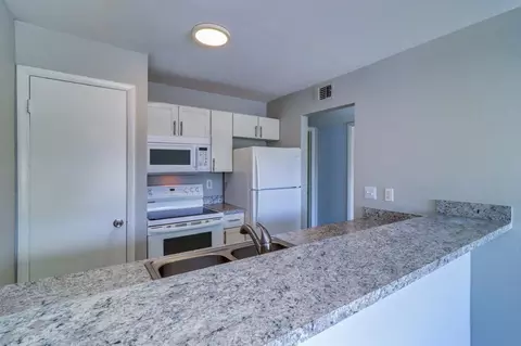 8024 Hidden River Dr, Tampa, FL 33617 photo 66