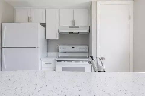 8024 Hidden River Dr, Tampa, FL 33617 photo 97