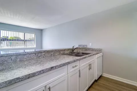 8024 Hidden River Dr, Tampa, FL 33617 photo 67