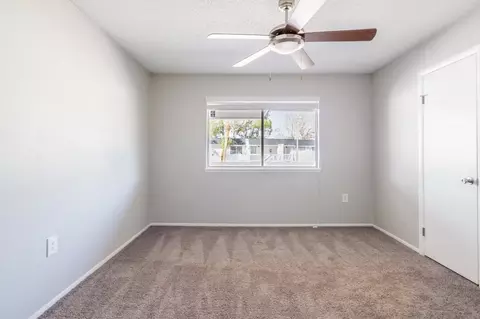 8024 Hidden River Dr, Tampa, FL 33617 photo 101