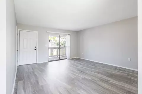 8024 Hidden River Dr, Tampa, FL 33617 photo 82