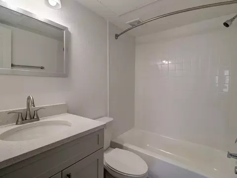 8024 Hidden River Dr, Tampa, FL 33617 photo 22