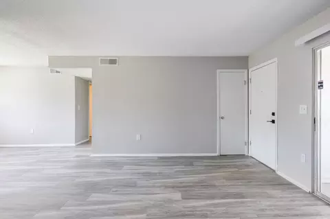 8024 Hidden River Dr, Tampa, FL 33617 photo 87