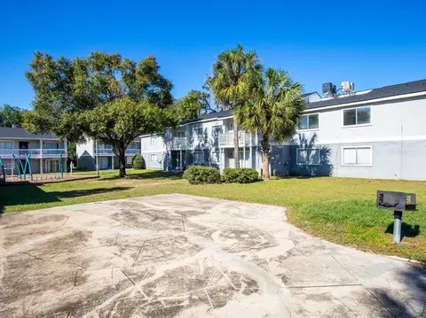 8024 Hidden River Dr, Tampa, FL 33617 photo 46