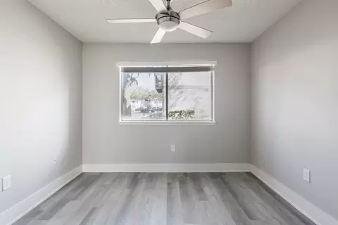 8024 Hidden River Dr, Tampa, FL 33617 photo 138