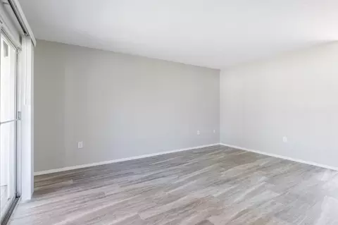 8024 Hidden River Dr, Tampa, FL 33617 photo 84