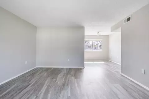 8024 Hidden River Dr, Tampa, FL 33617 photo 85