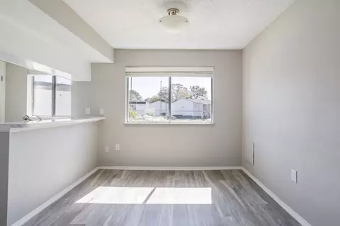 8024 Hidden River Dr, Tampa, FL 33617 photo 89
