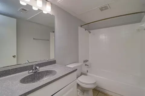 8024 Hidden River Dr, Tampa, FL 33617 photo 77