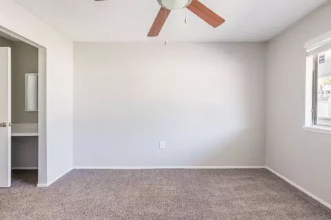 8024 Hidden River Dr, Tampa, FL 33617 photo 104