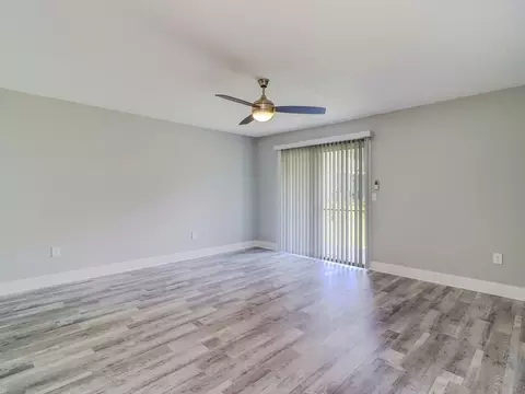 8024 Hidden River Dr, Tampa, FL 33617 photo 32
