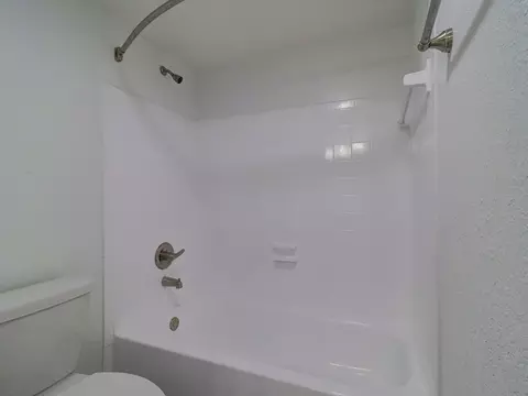 8024 Hidden River Dr, Tampa, FL 33617 photo 41