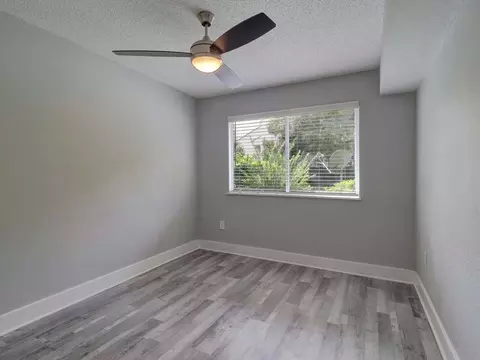 8024 Hidden River Dr, Tampa, FL 33617 photo 43