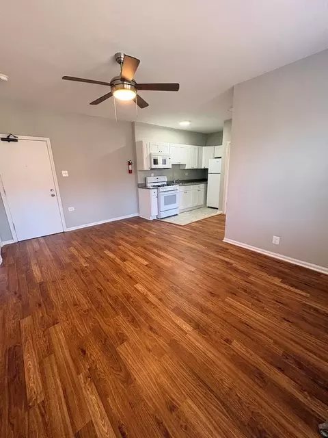 238 N Pine Ave, Chicago, IL 60644